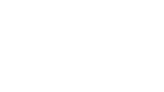 Traveller